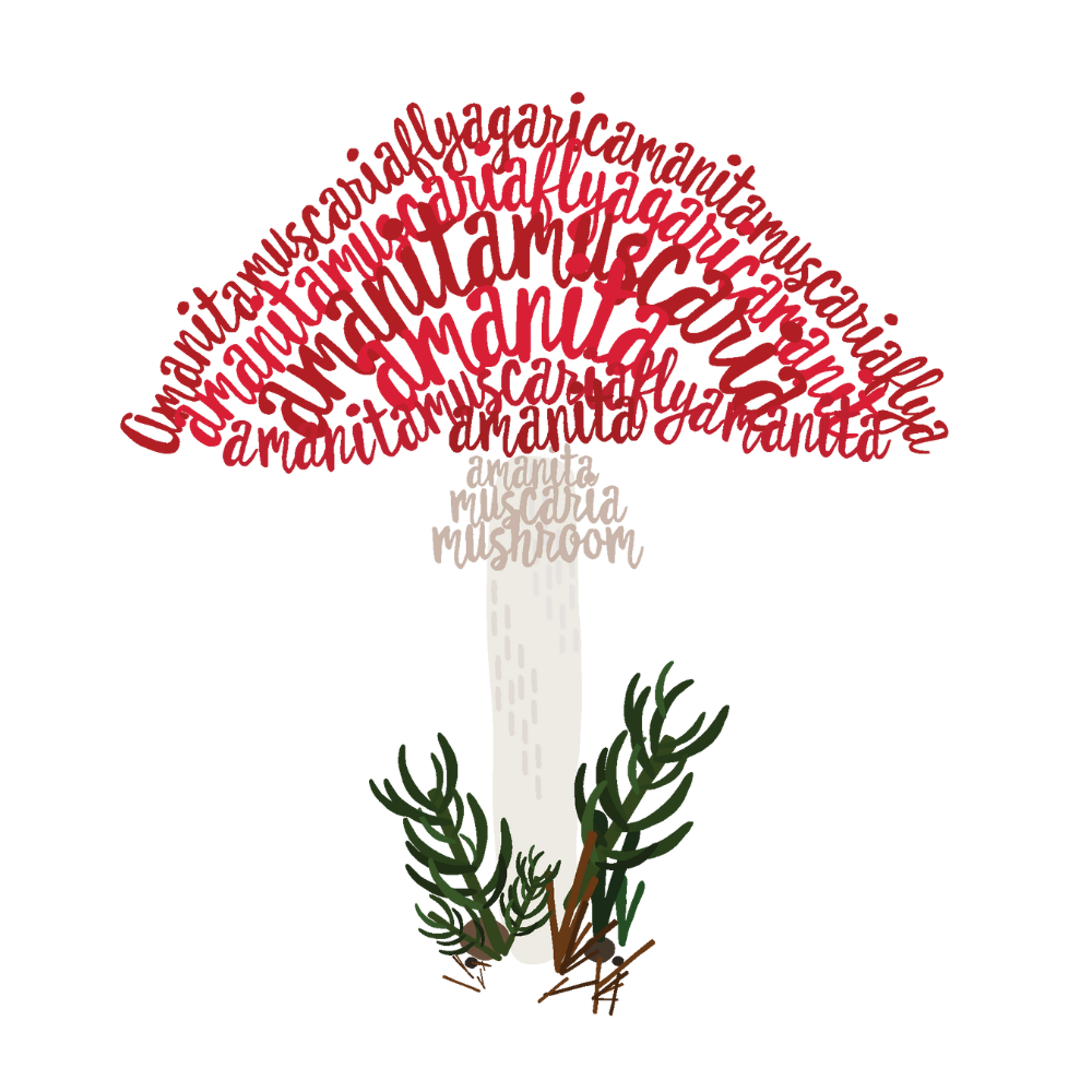 Mushroom Typography Illustration - Denniesa Design